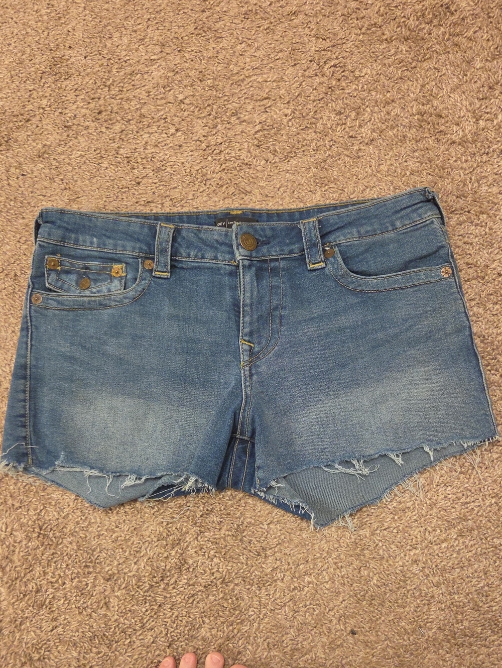 True Religion Joey Low Rise Cut Off Shorts, Size 32